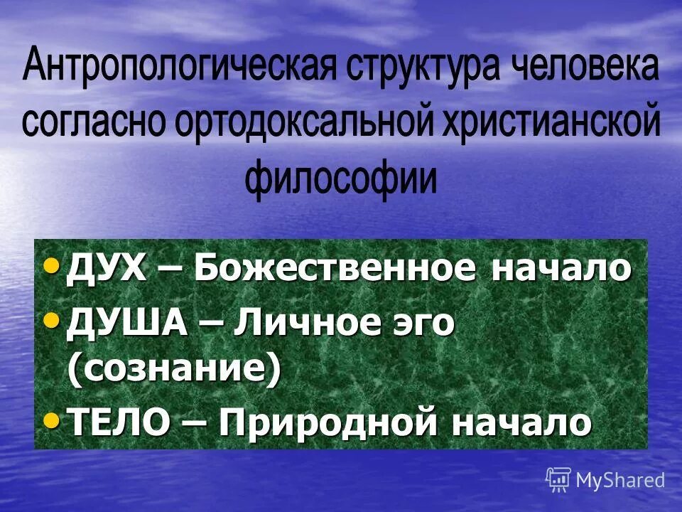 публичное выступление, виды публичных выступлений. естественный иммунитет. миропонимание это в философии. естественные начала. шкала отношений.