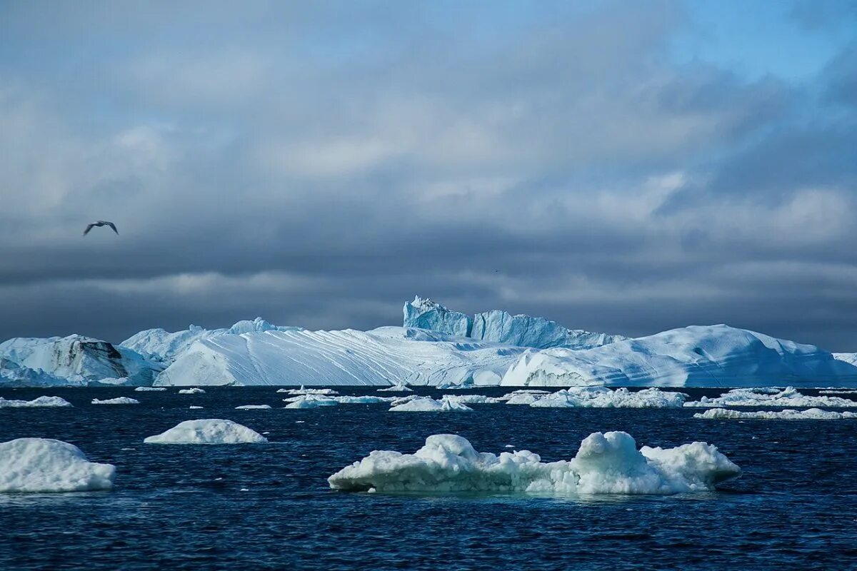 Северно Ледовитый океан море Лаптевых. Арктика море Лаптевых. Арктика Северный Ледовитый океан. Таймыр побережье моря Лаптевых. Бассейн океана баренцево