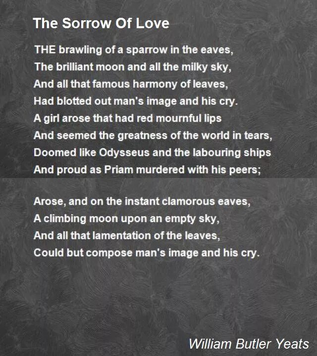 The death poem. Insomnium one for sorrow. Текст песни errbody sleeping. Sorrow стихи с переводом. Sorrows перевод песни.