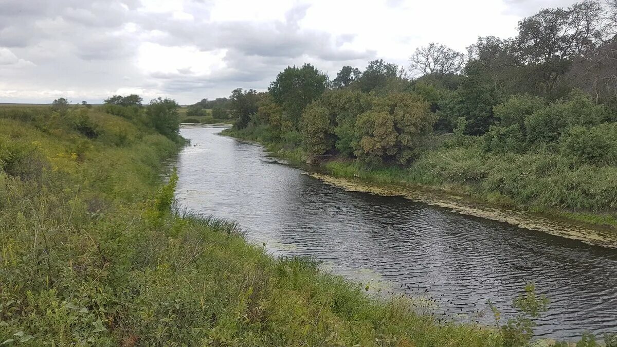 Река елань саратовская область. Озеро плотина раменское. Мостки на реке. Пруд род. Реки и пруды жабинковского района.