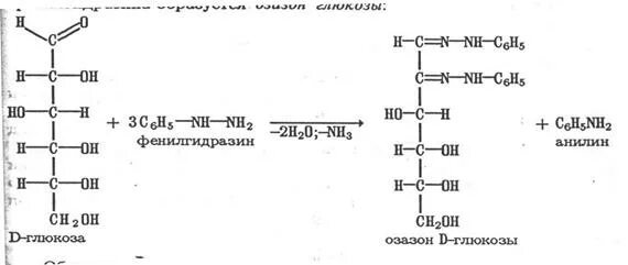 Химические свойства моносахаридов образование озазонов. Схема взаимодействия Глюкозы с фенилгидразином. Реакция восстановления д галактозы. Глюкоза Фенилгидразин. Гидролизу подвергается глюкоза рибоза фруктоза