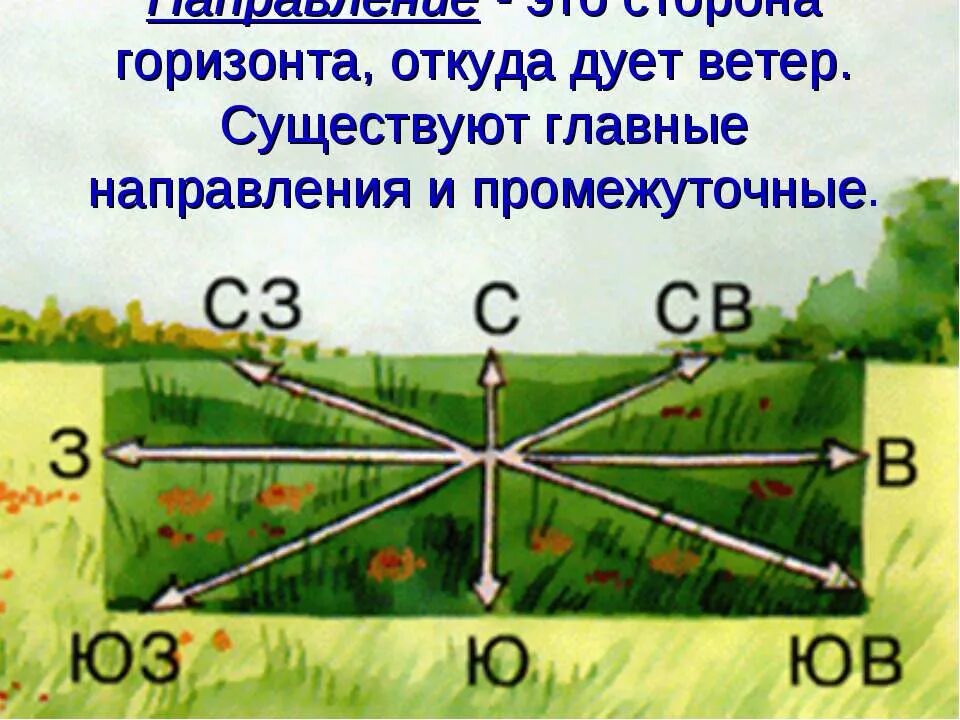 Стороны горизонта. Ветер и стороны горизонта. Откуда дует ветер направление. Горизонт день. Со стороны ветер дует