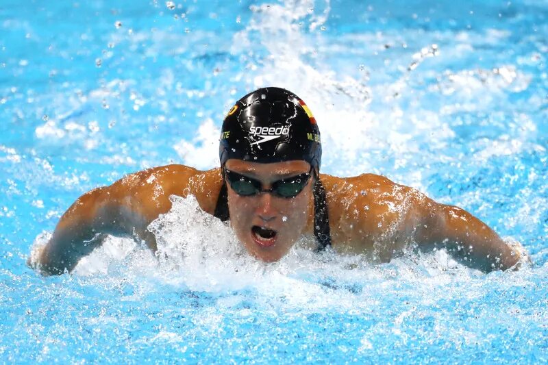 Олимпийский баттерфляй. Баттерфляй плавание русский. Майкл фелпс плывет. Плавание баттерфляй животное. Майкл фелпс плавание.