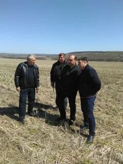 Погода в бешпагире на сегодня
