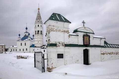 Борок костромской