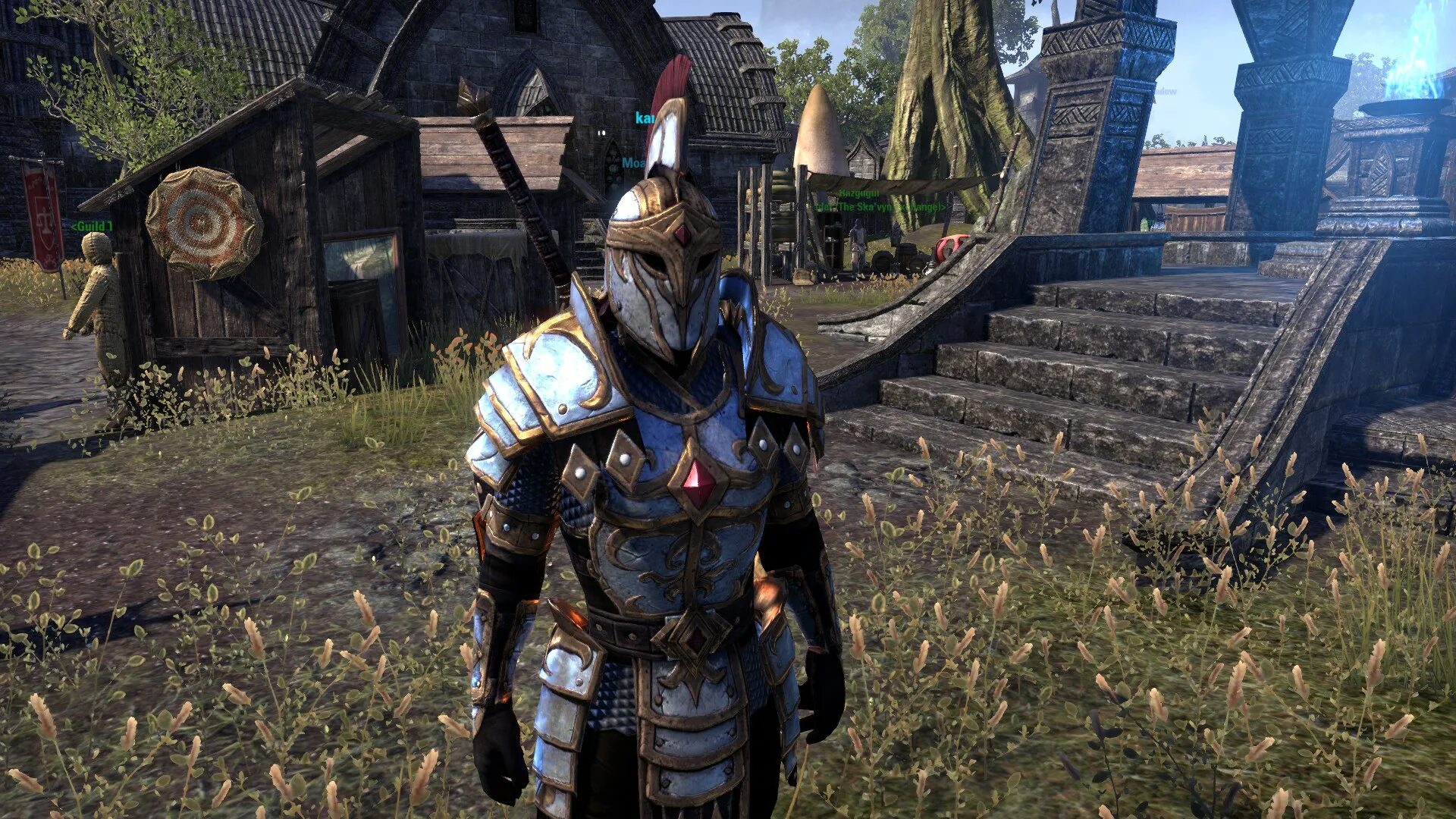 Программами armor. Skyrim imperial armor. teso imperial armor. скайвинд имперская броня. броня имперского центуриона.