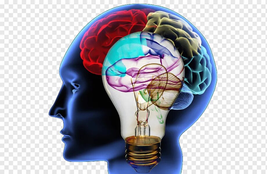 Psychology h a. Мозг в голове. Psychology h a. Красивые картинки по психологии. Френологическая карта галля.