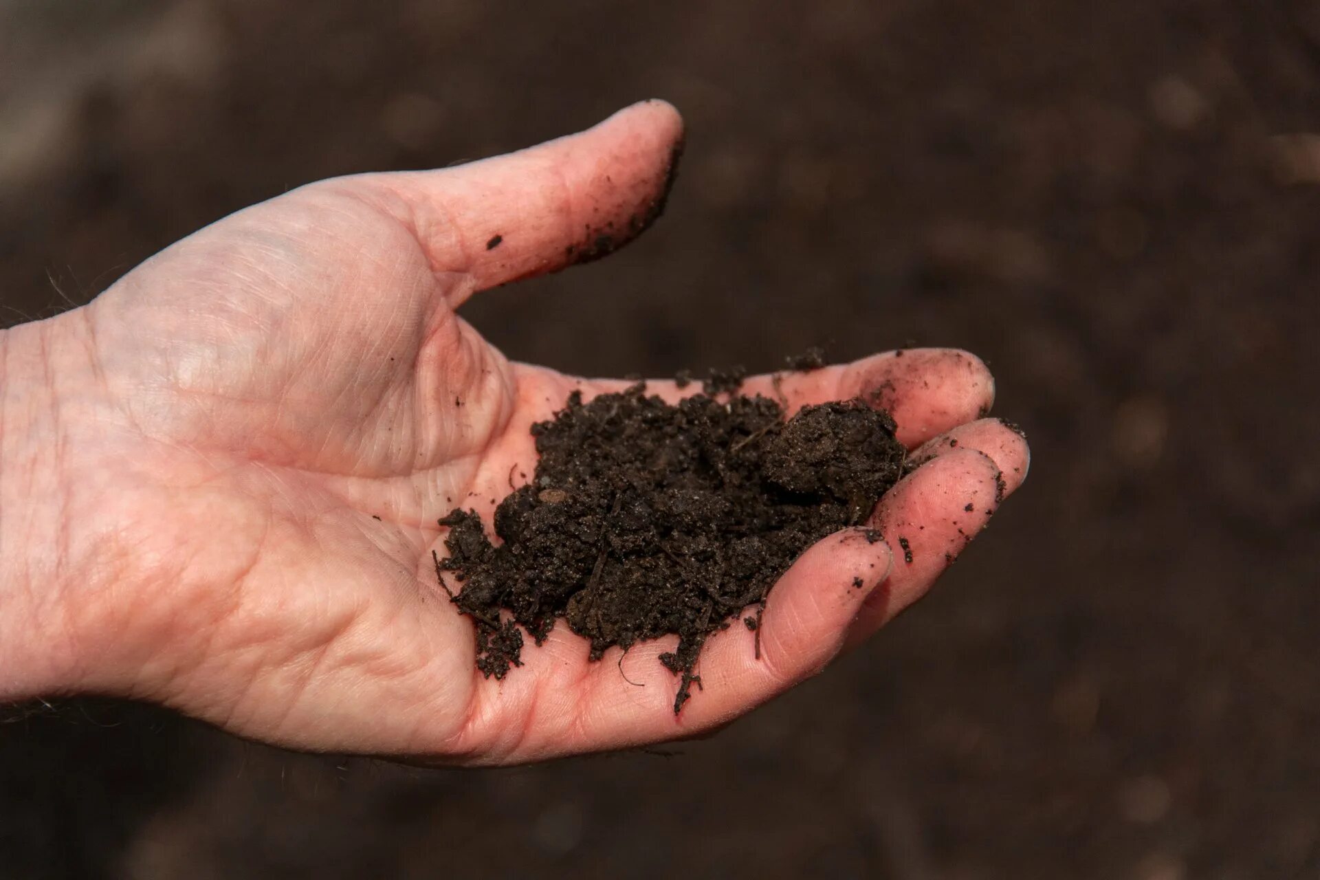 Почва мгу. Decreased Soil Fertility. Гумус картинки. Гумусность фото. Неплодородие.