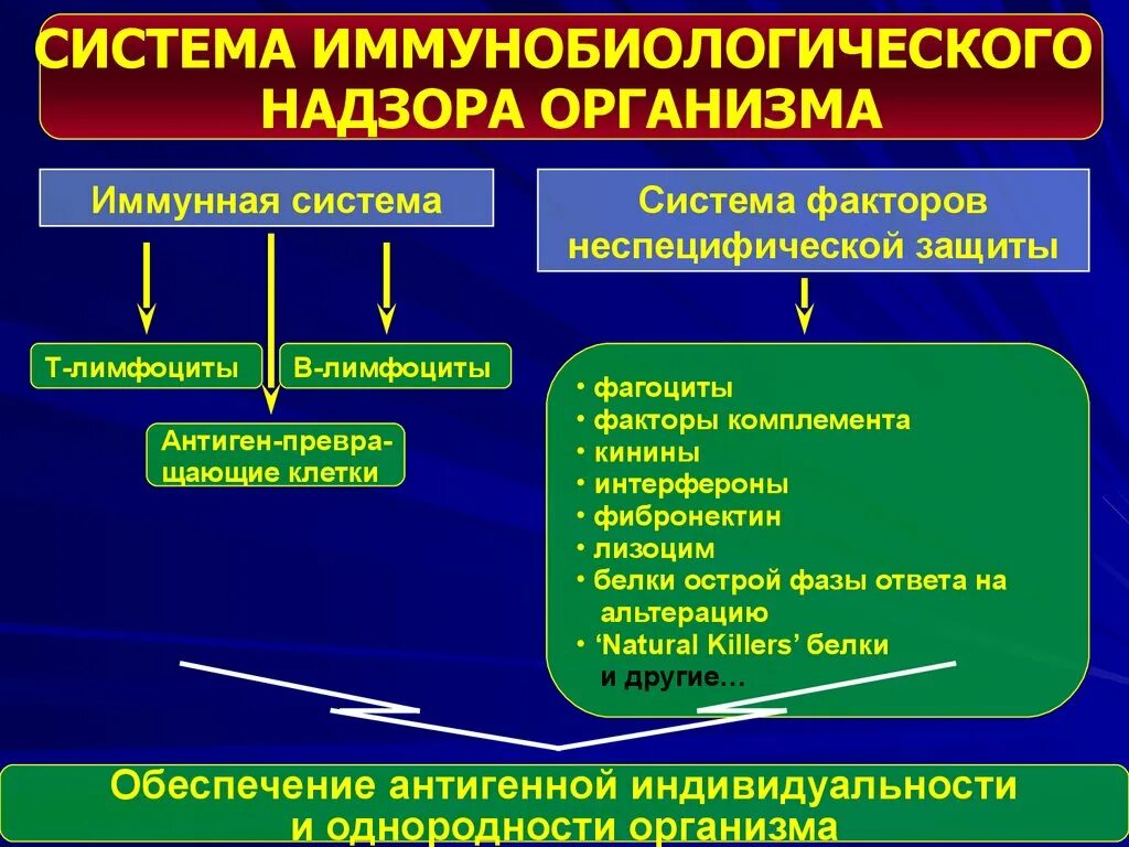 Факторы защиты иммунитета. Система иммунобиологического надзора. Нарушение функционирования иммунной системы. Иммунитет лекция. Неспецифические иммунные факторы