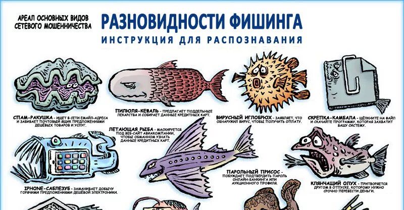 Какого типа фишинг атаки не существует. Разновидности фишинга. памятка по фишингу. схема фишинга. фишинг типы.