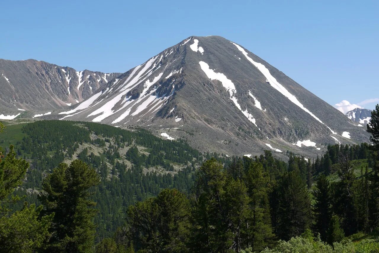 Самая высокая вершина сибири гора. Гора Альбаган. Альбаган горный Алтай. Гора Альбаган Чойский район. Хребет Иолго Алтай.