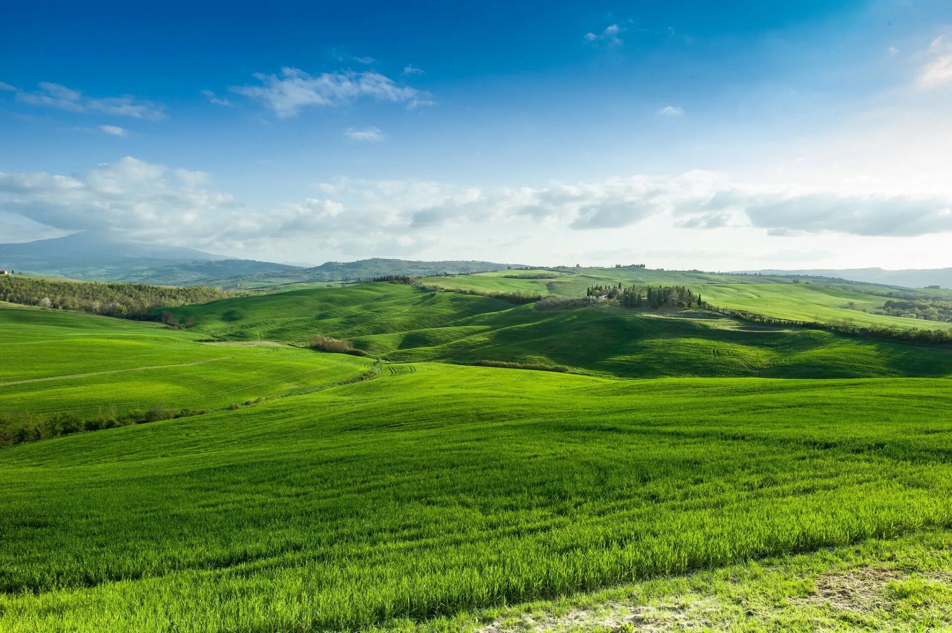 Wide green. Ландшафт Румынии равнины. Удмуртия Холмистая равнина. Ландшафт Кампос. Гароннская низменность.