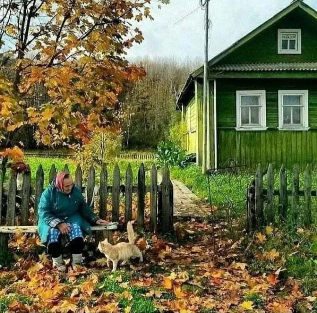 Деревенский загородный. Осень в деревне. Деревня осенью. Осен ДИРИВНЯ. Золотая осень в деревне.