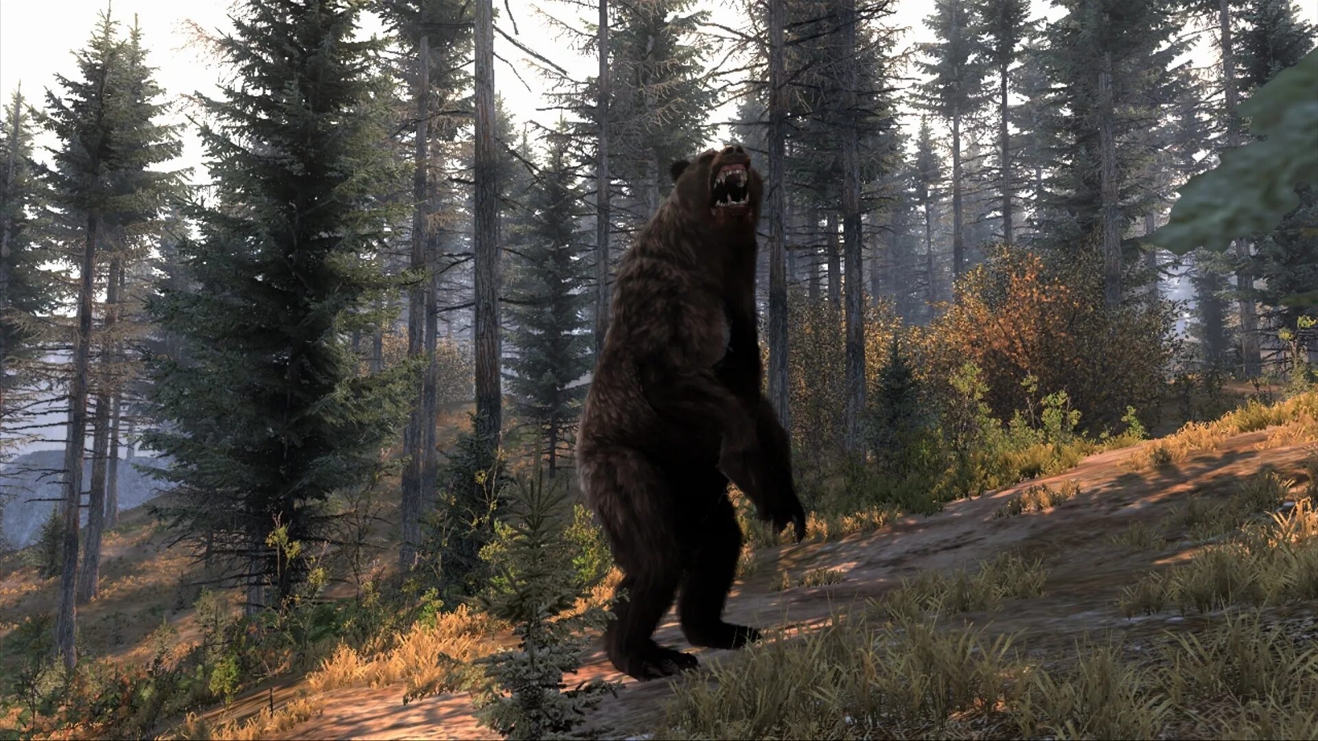 Cabela's big Hunter. Cabela's big game Hunter: Pro hunts 2014. Кабелас Биг гейм Хантер. Cabela: Pro hunts.