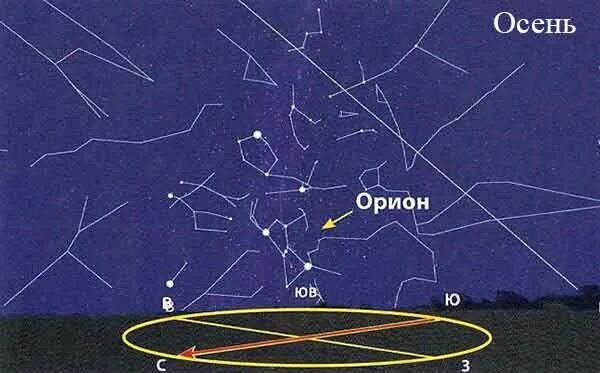 Волосы Вероники Созвездие схема. Звезды Ориона Ориониды. Созвездие волосы Вероники самая яркая звезда. Волосы Вероники Созвездие Легенда. Ярчайшая звезда в северном полушарии