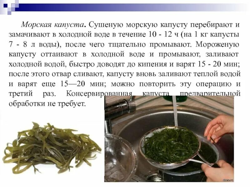 Обработка морской капусты. Обработка сушеной морской капусты. Водоросли кушать. "Морская капуста" презентация. Как варить морскую капусту