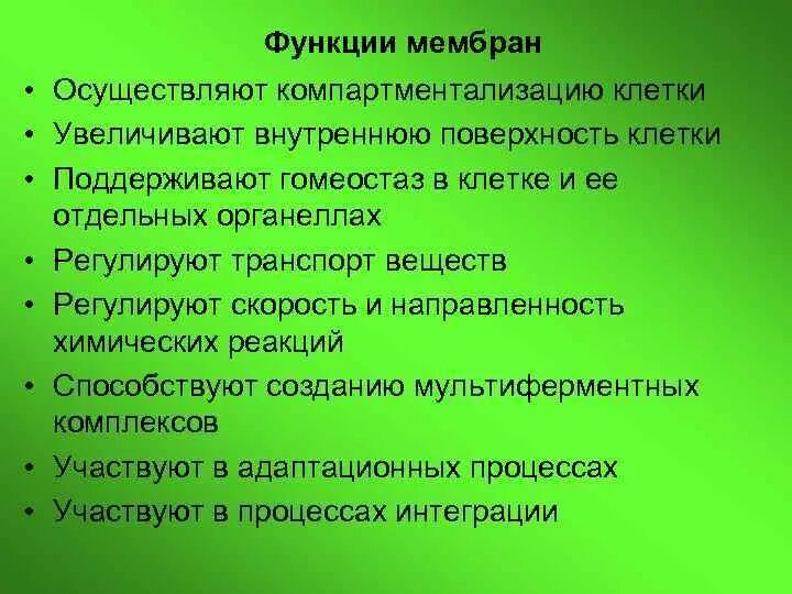 Функции мембраны физиология. Функции клеточной мембраны физиология. Функции мембраны клетки. Функции мембраны клетки физиология.