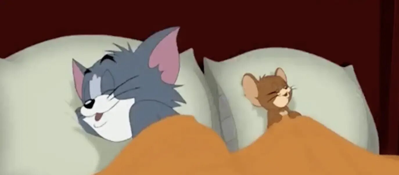 Sleeping tom. Tom and Jerry спать. Tom Jerry Сонный. Том и Джерри спят вместе.