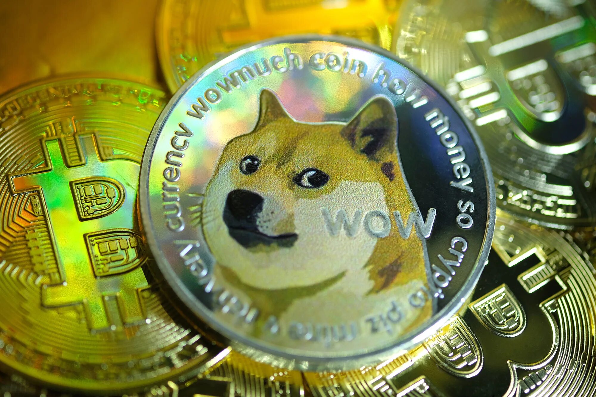 Baby dogecoin. Догикоин. Dogecoin криптовалюта. Dogecoin фото. Криптовалюта с собачкой.