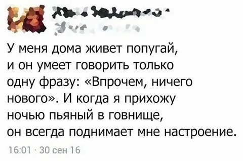 Ничего нового текст