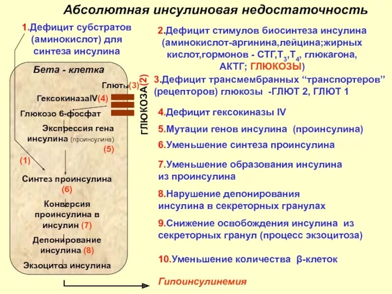 Недостаток синтеза инсулина. СТГ И инсулин. Проба с инсулином на СТГ. Дефицит СТГ. СТГ антагонист инсулина.