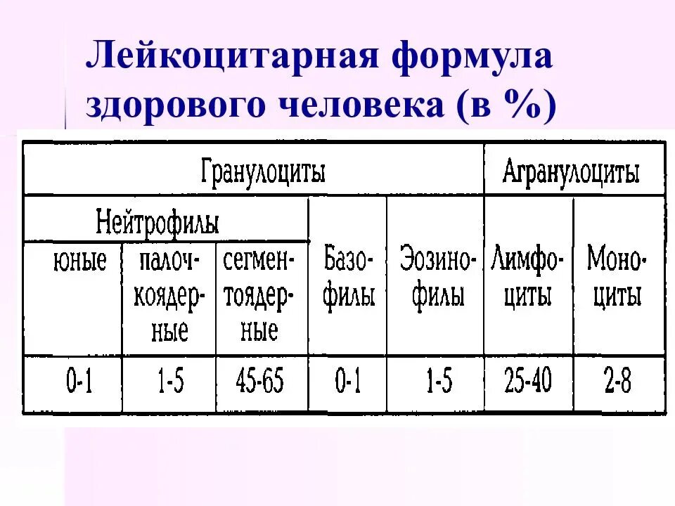 Лейкоцитарная формула расшифровка у взрослых. Лейкоцитарная формула здорового человека. Лейкоцитарная формула физиология. Показатели крови норма лейкоцитарная формула. Лейкоцитарная формула расшифровка норма.