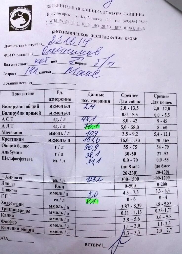 Какие показатели при гепатите