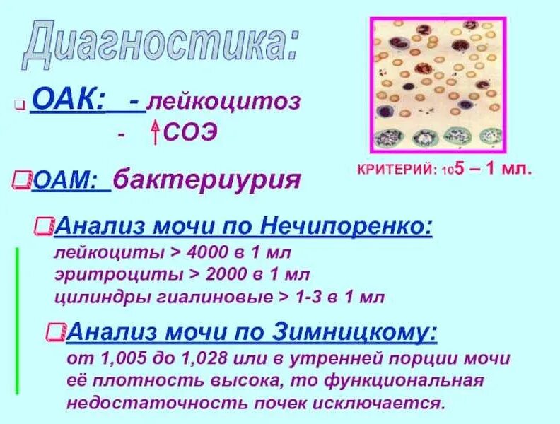 Лейкоциты в моче у ребенка 10 лет. Анализ по нечипоренко лейкоциты и эритроциты. анализ по нечипоренко 2 лейкоциты. по пробе нечипоренко лейкоцитов в 1мл норме. эритроциты в анализе по нечипоренко.