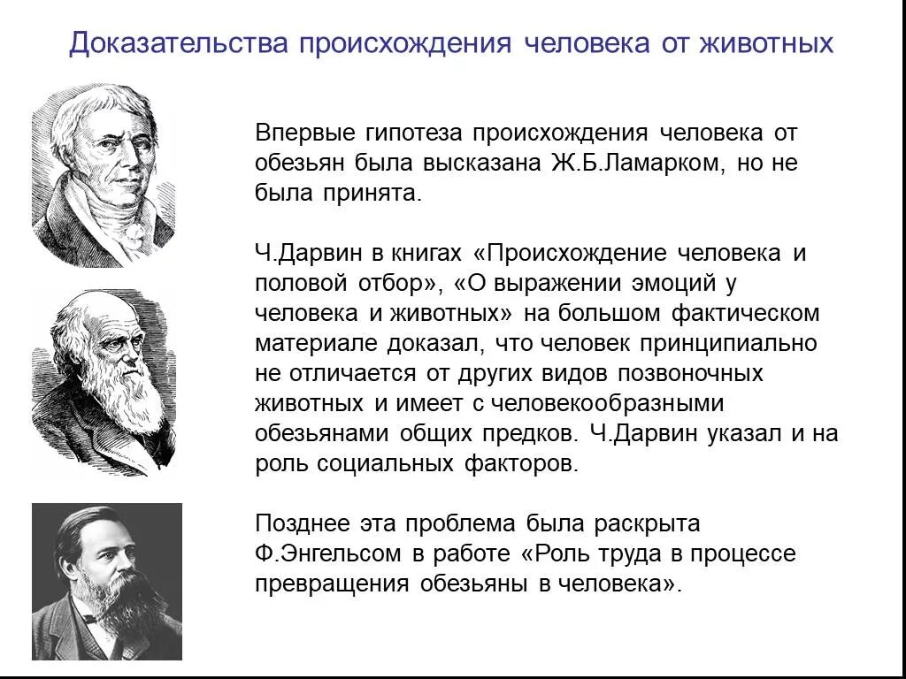 Гипотезы доказанные учеными. Гипотезы происхождения человека. Теории происхождения человека. Теории возникновения человечества. Научная теория происхождения человека.