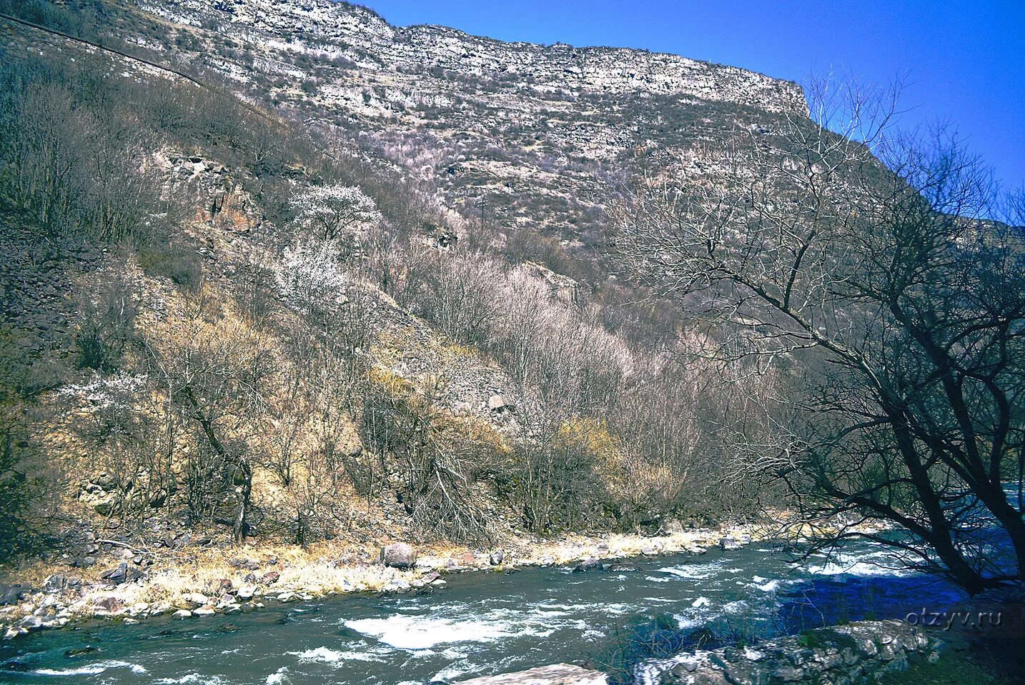 Река дебед армения. Река дебед армения фото. Ущелье реки дебед армения. Ущелье реки дебед армения. Река дебед армения.