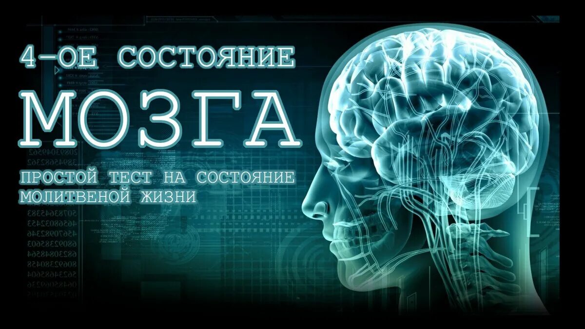 Ученые о мозге человека. Состояния мозга человека. Изучение мозга человека. Наука о мозге человека.