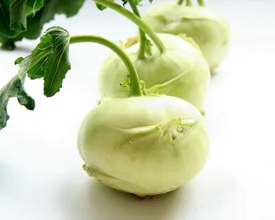 Белый овощ