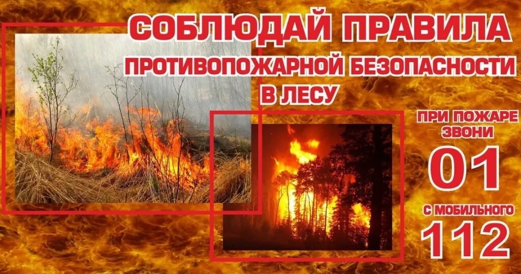 Ппб в лесах. Пожарная безопасность в лесу. соблюдение правил пожарной безопасности в лесах. пожарнаябзопаснсть пжав есу. пожарная безопасность в лесах памятка.