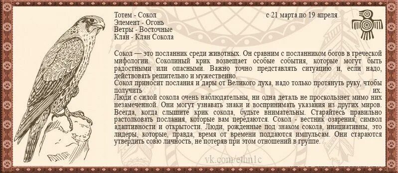 Тотемное животное девы. Тотемное животное сокол. орёл тотемное животное характеристика. тотемное животное овна. тотемные животные знаки зодиака.