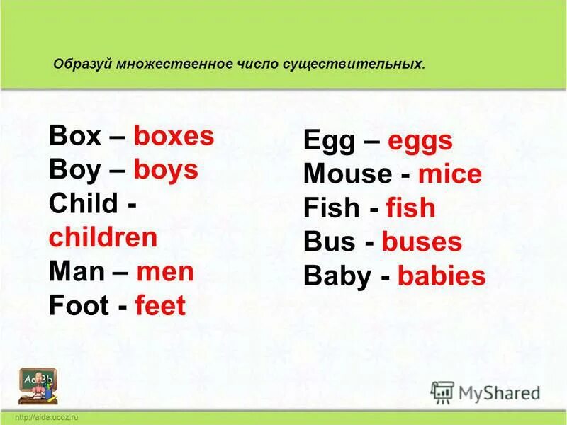 Множественное слово box. Bady множественное число на английском. Baby во множественном числе на английском языке. Babi во множественном числе на английском языке. Baby множественное число.