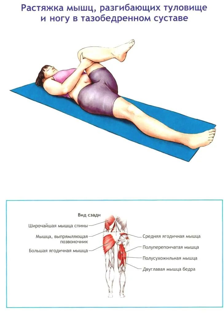 Перерастяжение связок тазобедренного сустава симптомы. Перевязка бедра эластичным бинтом. Растяжение мышц тазобедренного сустава. Растяжение мышц тазобедренного сустава. Растяжение мышцы бедра спереди.