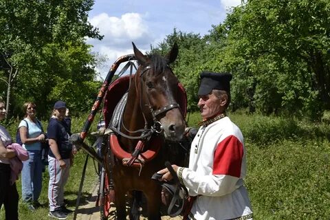 Тарханов пенза
