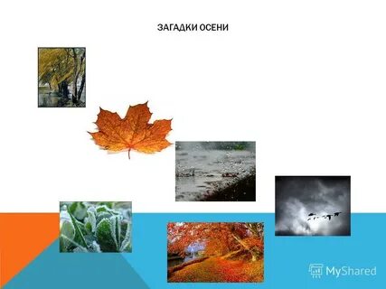 Сценарий загадки осени