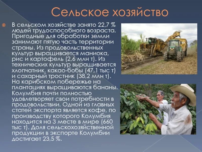 Реферат растениеводство