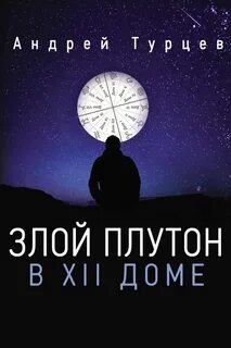 12 домов книга