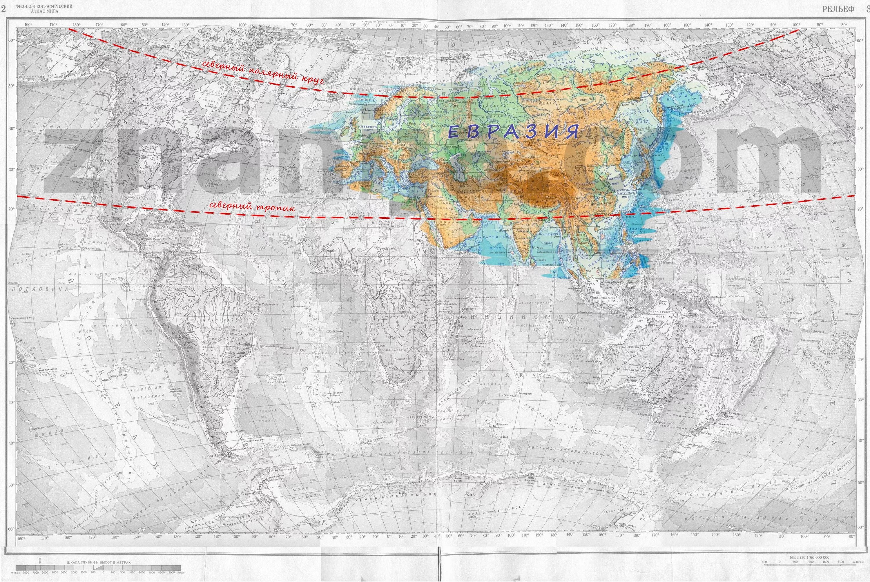 Евразия пересекает полярный круг. Северный Тропик и Северный Полярный круг на карте Евразии. Северный Тропик, Северный Полярный круг Евразия. Северный Тропик на карте Евразии. Полярный круг на карте.
