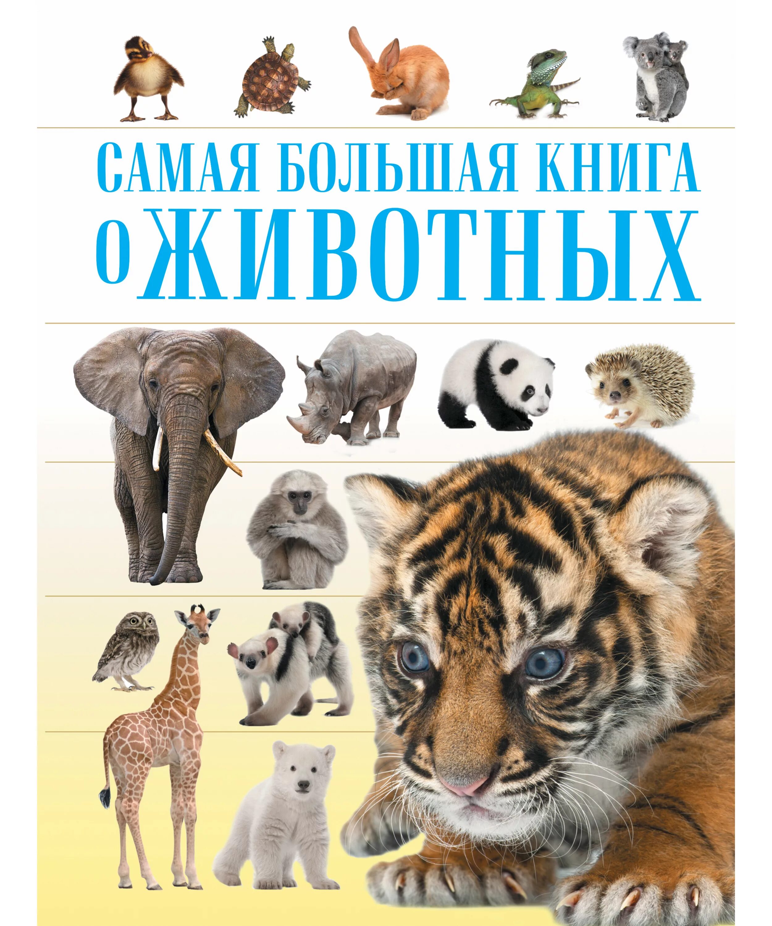 Книги о животных. Книги о животных для детей. книга живых. детские книги о животных.