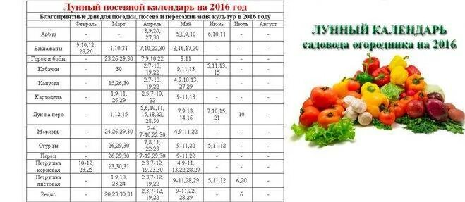 Картинки ПОСАДОЧНЫЙ КАЛЕНДАРЬ ДЛЯ ПЕРЦА И ТОМАТОВ