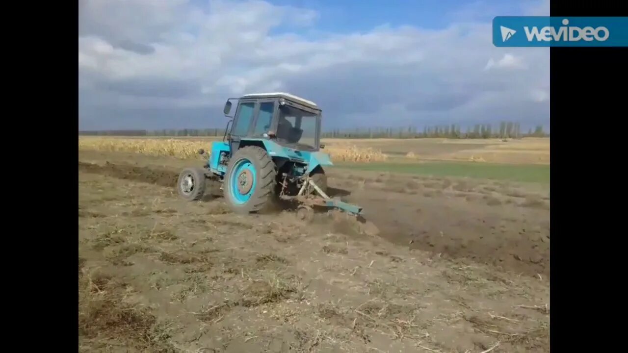 На какой передаче пахать. МТЗ 82.1 С плугом. МТЗ 82 С плугом трехкорпусным. МТЗ 82.3 С плугом. МТЗ 82 серый с плугом.