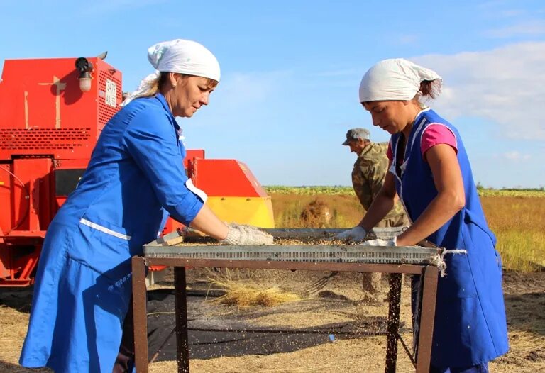 школа номер 2 исилькуль стройка. стройка г. г исилькуль исилькульский район. кдц исилькуль. работа в исилькуле.
