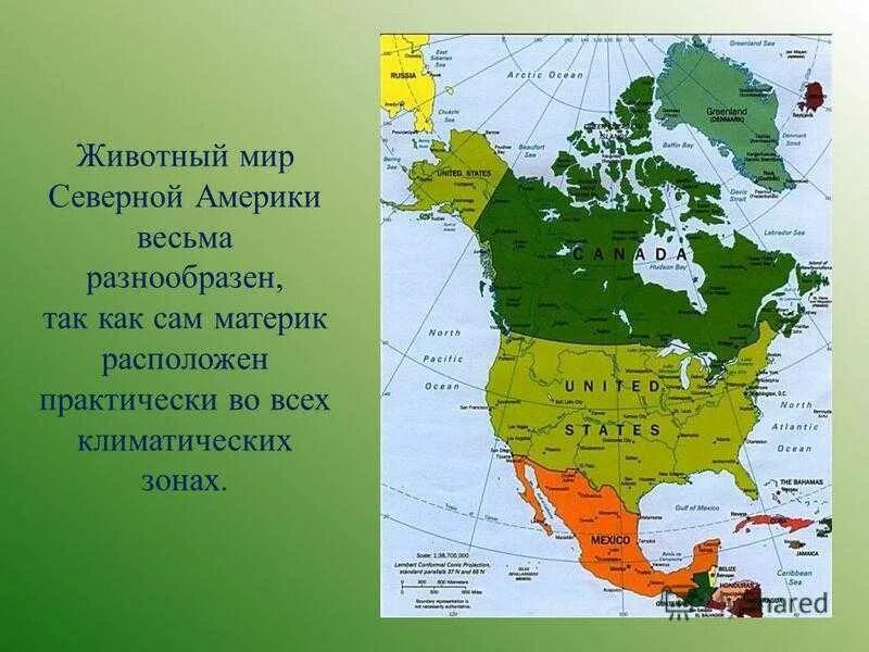 Большая часть северной америки говорит на. Северная Америка материк. Части Северной Америки. Материк Северная Америка страны. Континент Северная Америка.