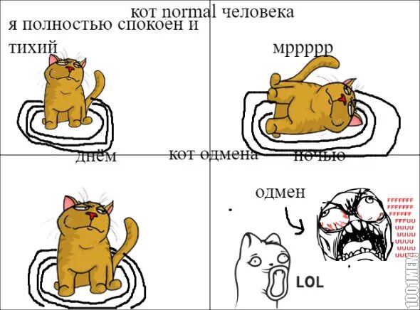 У нормального человека 2 кошки. Кот нормального человека. У нормального человека два кота. Сколько кошек. Не кит а кот.