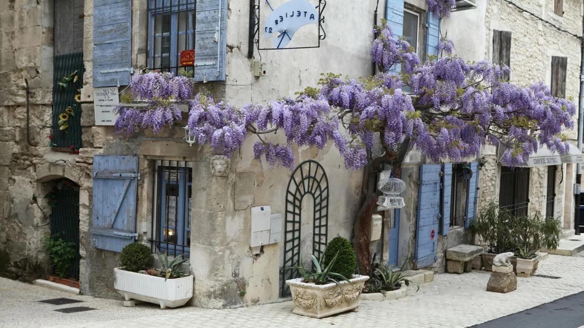 Провинция цветы. Герань в испании. Цветы провинции. Цветы провинции. Цветы провинции.