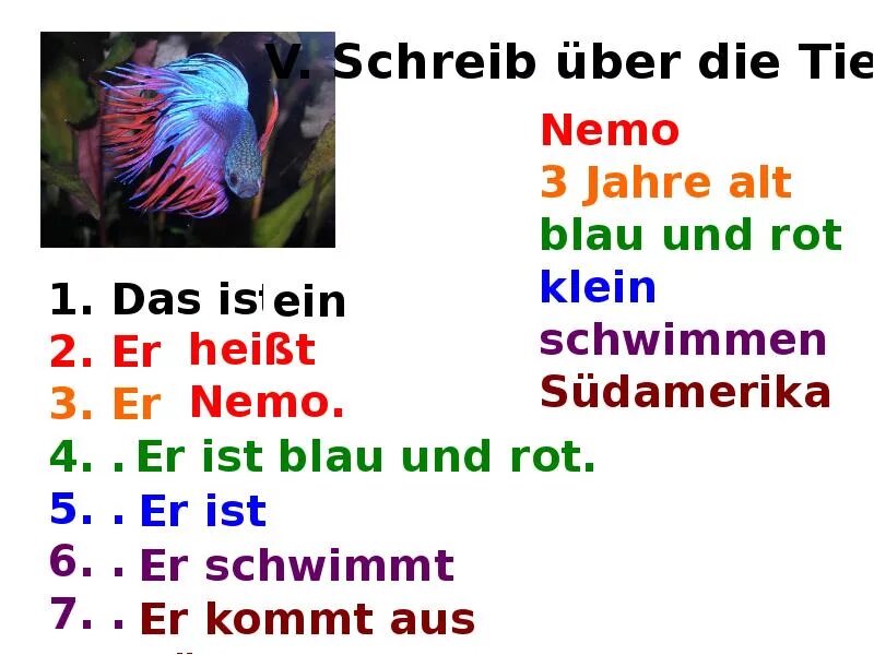 Wie sind die. Die tiere презентация. wir sind die tiere ответы. a wie sind die tiere ответы. kontrollarbeit zum thema tiere ответы.