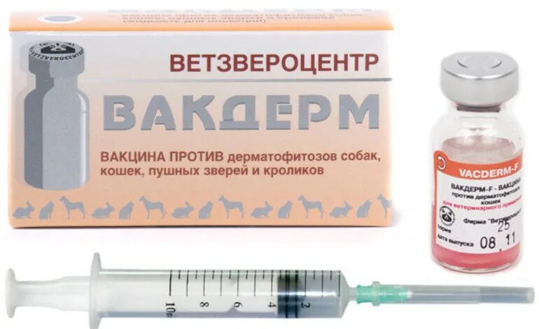 Вакдерм для кошек. Вакцина вакдерм. вакдерм для собак. вакцины для собак и кошек.